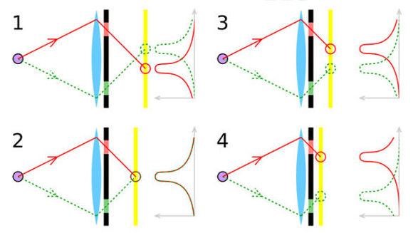 什麼因素決定了手機拍照效果：對焦系統有哪些區別？