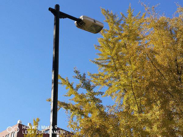 華為mate9拍照樣張